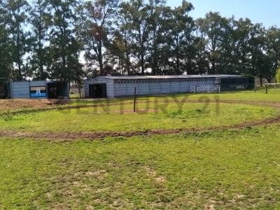 CAMINO REAL Y PREBITERO GONZALEZ Y ARAGON SIN NUMERO 0, Ezeiza, GBA Sur 00001, 阿根廷