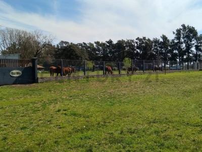 CAMINO REAL Y PREBITERO GONZALEZ Y ARAGON SIN NUMERO 0, Ezeiza, GBA Sur 00001, 阿根廷