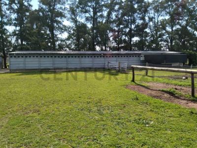 CAMINO REAL Y PREBITERO GONZALEZ Y ARAGON SIN NUMERO 0, Ezeiza, GBA Sur 00001, 阿根廷