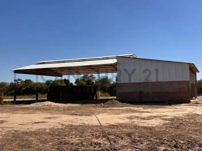 Este, Santa Cruz 00001, Bolivien