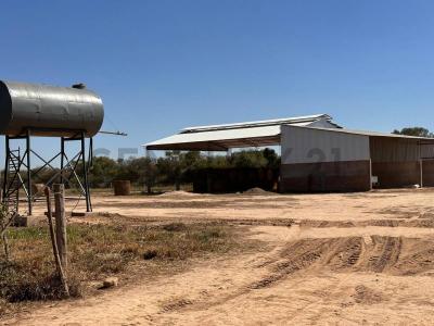 Este, Santa Cruz 00001, Bolivien