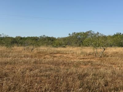 TBD FM 1681, Stockdale, Texas 78160, USA