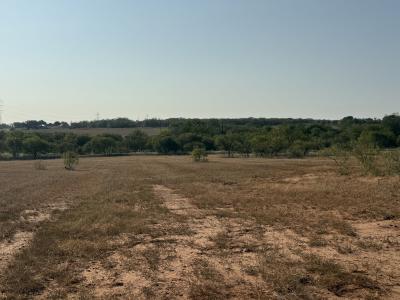 TBD FM 1681, Stockdale, Texas 78160, Stati Uniti