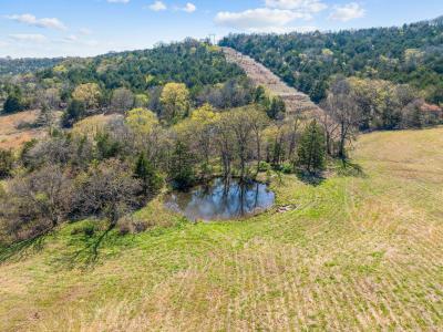 000 Tbd State Hwy J, Kirbyville, ميسوري 65679, الولايات المتحدة
