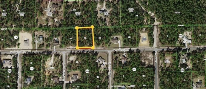 5895 W Conestoga Street, Beverly Hills, Florida 34465