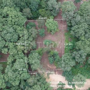 Carretera a Rayones 8,, Montemorelos, Nuevo León 67617, Mexique