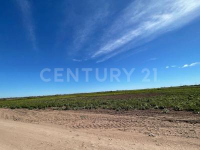 Ahome, Sinaloa 81233, Mexico