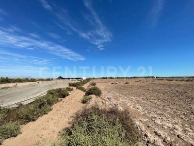 Ahome, Sinaloa 81233, Mexico
