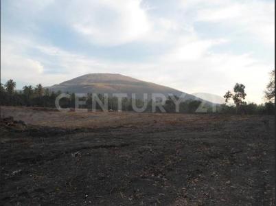 Tecoman, Colima 28920, Messico