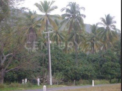 Tecoman, Colima 28920, Messico