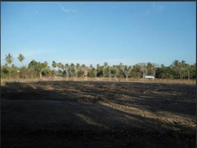 Tecoman, Colima 28920, Messico