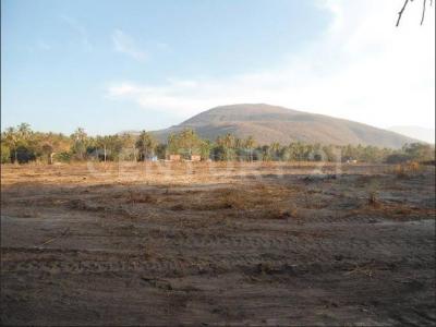 Tecoman, Colima 28920, Messico