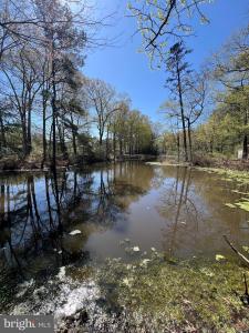 219 Holly Way, Colonial Beach, Virginia 22443, Amerika Birleşik Devletleri