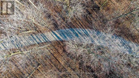29709 CELTIC LINE SOUTH, Dutton/dunwich, Ontario N0L 1J0, Canada