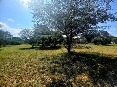 Bela Bela, Limpopo, Sudafrica