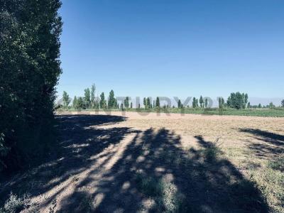Lavalle, Mendoza 5560, Argentina