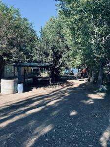 Lavalle, Mendoza 5560, Argentina