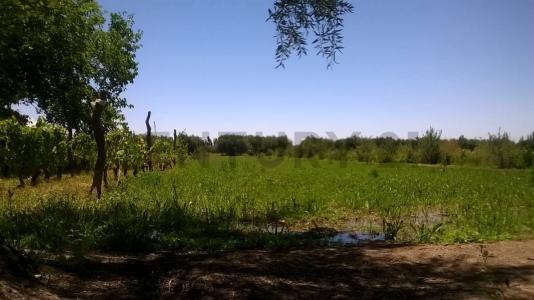 Manuel A. Saez sin número, Maipú, Mendoza 5517, Argentina
