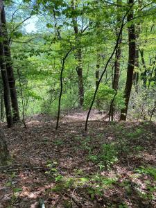 1 Seagroves Road, Tracy City, Tennessee 37387, USA