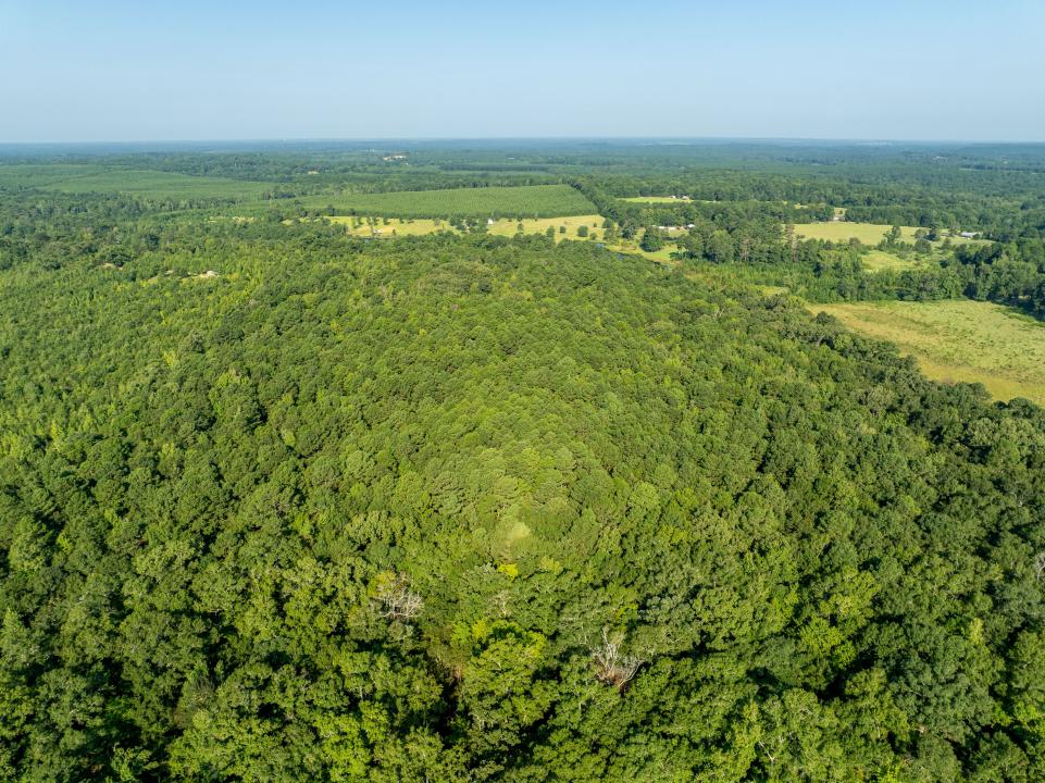 0000 CR 1628, Linden, Texas 75563, États-Unis