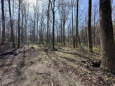 7228 Locust Lake East Drive, Spencer, Indiana 47460