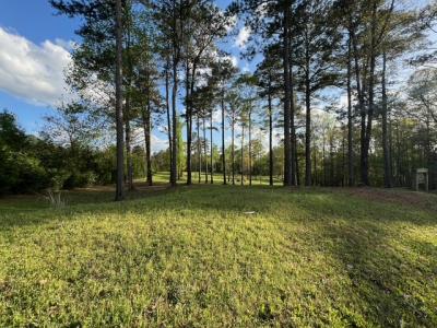 4056 Waymanville Rd, Thomaston, Georgia 30286, Stati Uniti