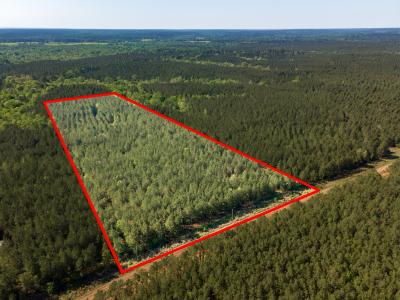 R28391 CR 403, San Augustine, Техас 75972, Соединенные Штаты