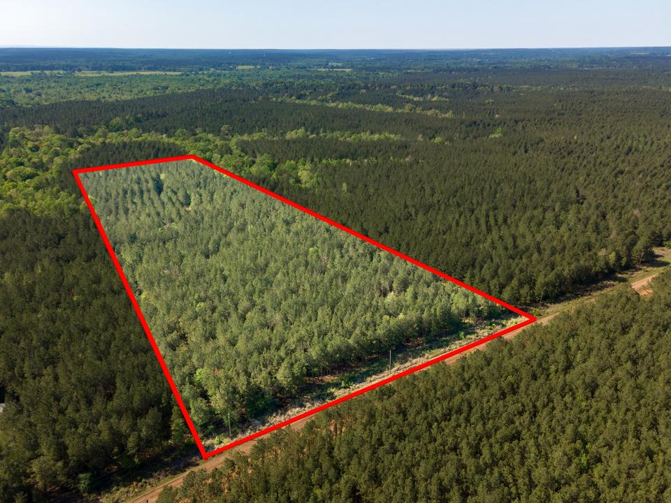 R28391 CR 403, San Augustine, Texas 75972, Estados Unidos