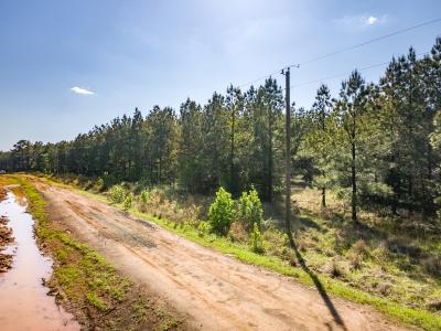 R28391 CR 403, San Augustine, Texas 75972, Estados Unidos