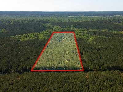 R28391 CR 403, San Augustine, Texas 75972, Estados Unidos