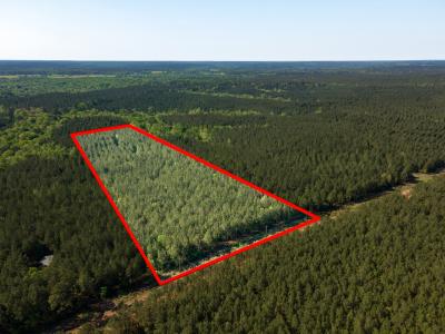 R28391 CR 403, San Augustine, Texas 75972, Estados Unidos