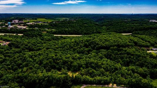 Surrounding Rose Garden, Weirton, WV 26062, USA