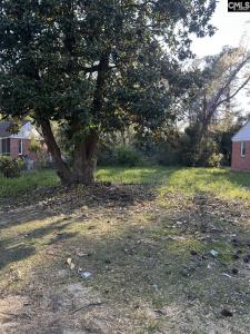 805 Tremont Avenue, Columbia, Carolina Del Sur 29203, Estados Unidos