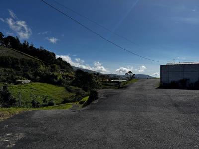 Pacayas , Pacayas Alvarado, Cartago 30601, コスタリカ