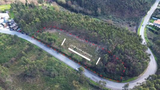 Paredes, Porto 4585-831, Portugal