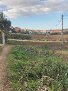 Lourinhã, Lisboa 2530-220, Portugal