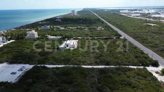 tablaje 8296,, Telchac Puerto, Yucatan 97407, Messico