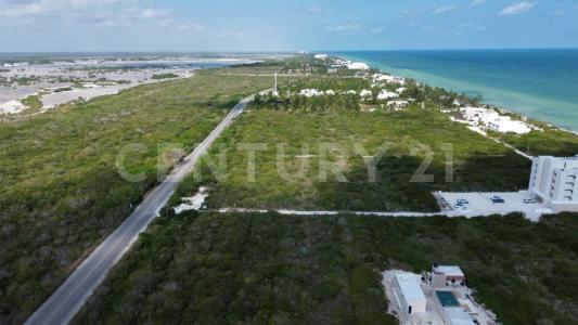 tablaje 8296,, Telchac Puerto, Yucatan 97407, Messico