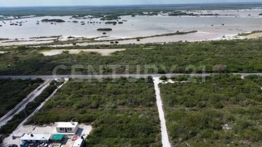 tablaje 8296,, Telchac Puerto, Yucatan 97407, Messico
