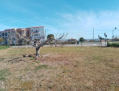 Cáceres, エストレマドゥーラ 10840, スペイン