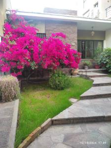 Manuel A Saez , Ciudad De Mendoza, Mendoza 5500, Argentina