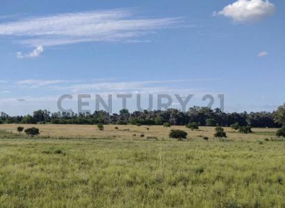 Exaltación De La Cruz, GBA Norte 00001, Argentina