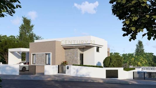 Souni-Zanakia, 賽普勒斯