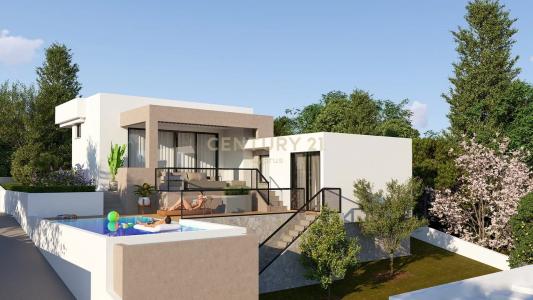 Souni-Zanakia, 賽普勒斯