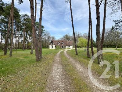 Theillay, Centre-Val De Loire 41300, France