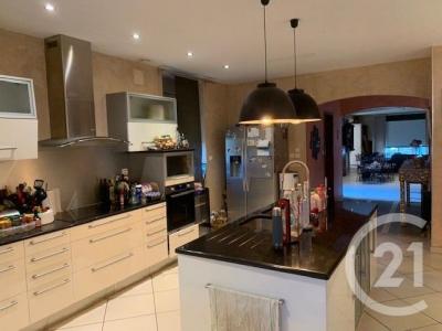 Saujon, 普瓦圖夏朗德 17600, 法國