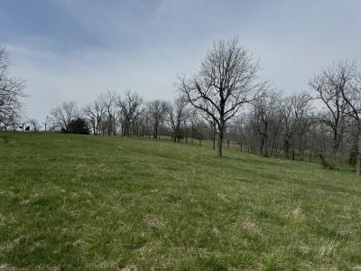 XXX Connelsville Road, Kirksville, Missouri 63501, USA