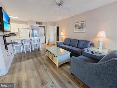 14409 Lighthouse Ave, #10, Ocean City, Maryland 21842, Stati Uniti