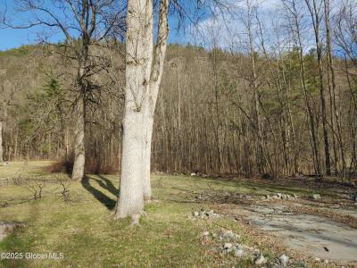 103 Black Point Road, Ticonderoga, 紐約州 12883, 美國