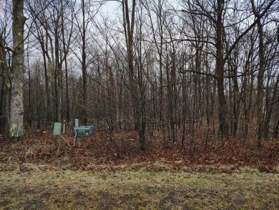 lot 178 Blue Heron Court, Gouldsboro, Pennsylvania 18424, HOA KỲ